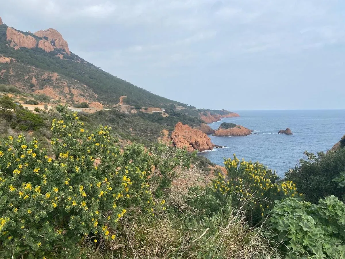 St Raphael Boulouris Maison Bord De Mer Damalix Saint-Raphael